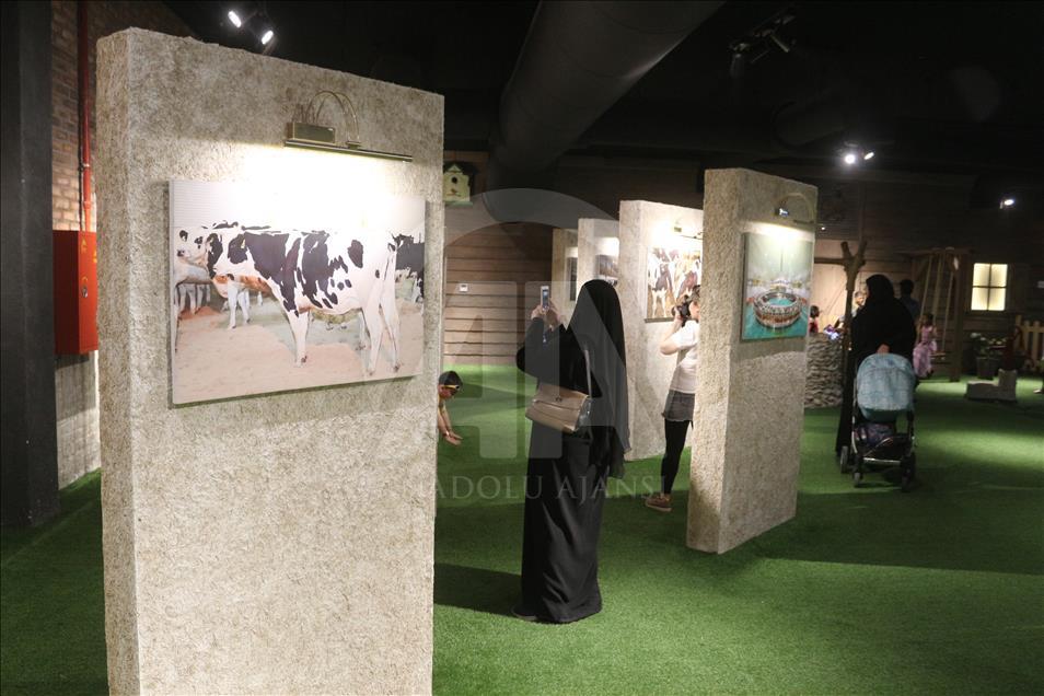 رئيس شركة "بلدنا": قطر تكتفي ذاتيا من منتجات الألبان بحلول رمضان