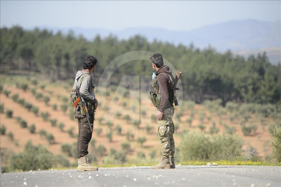 Zeytin Dalı Harekatı
