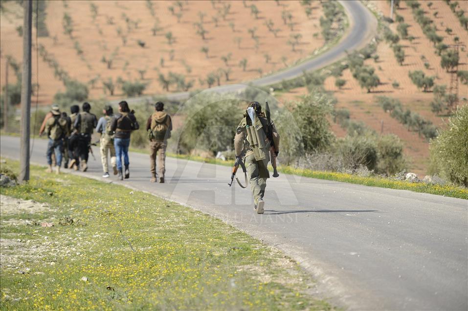 Zeytin Dalı Harekatı
