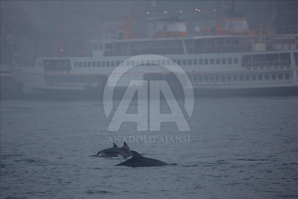 İstanbul'da sis