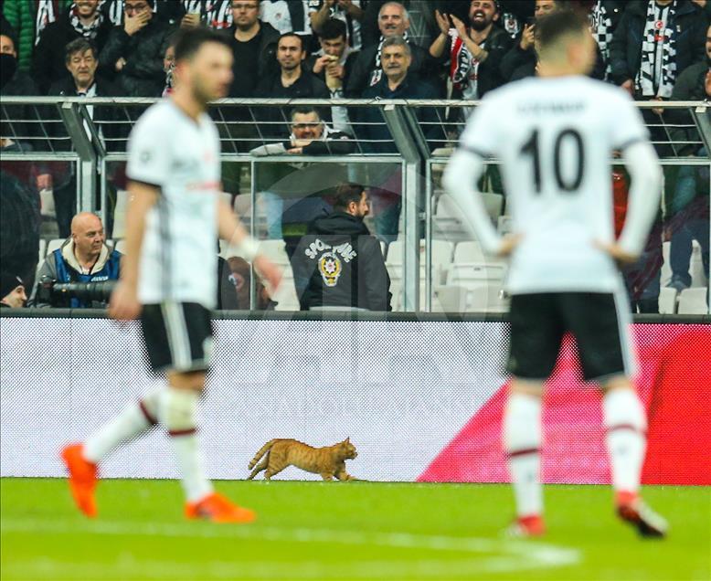 Beşiktaş - Bayern Münih