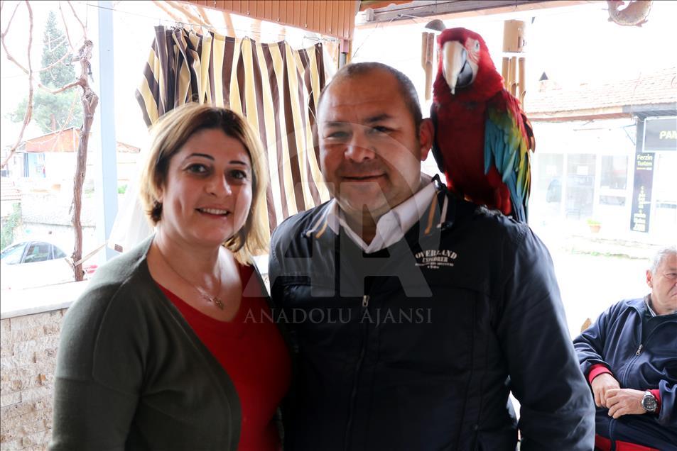 Papağan "Sultan" ile sahibinin dostluğu
