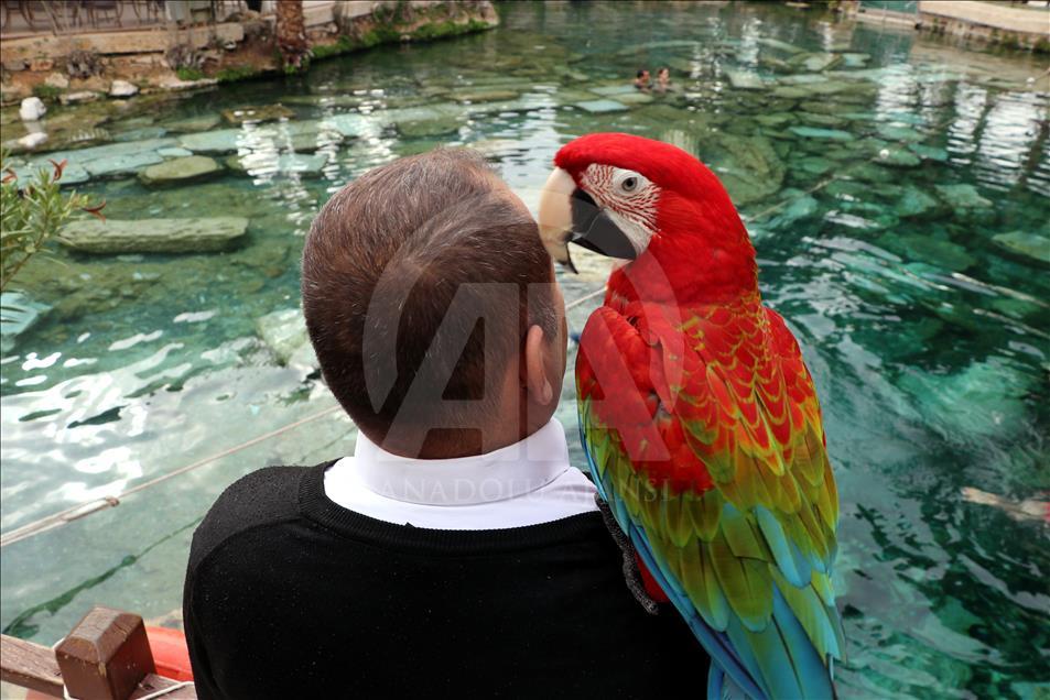 Papağan "Sultan" ile sahibinin dostluğu