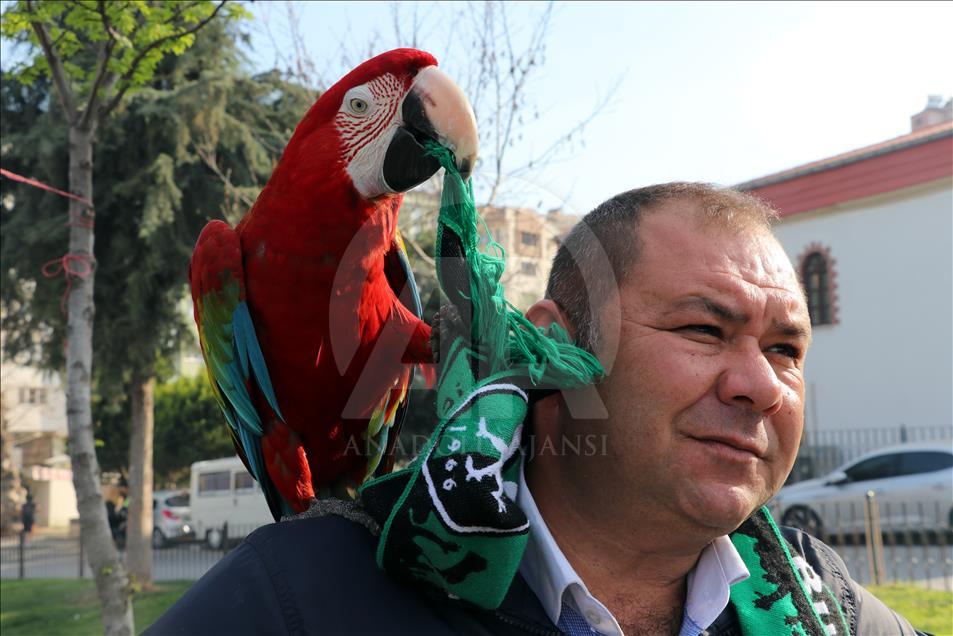 Papağan "Sultan" ile sahibinin dostluğu