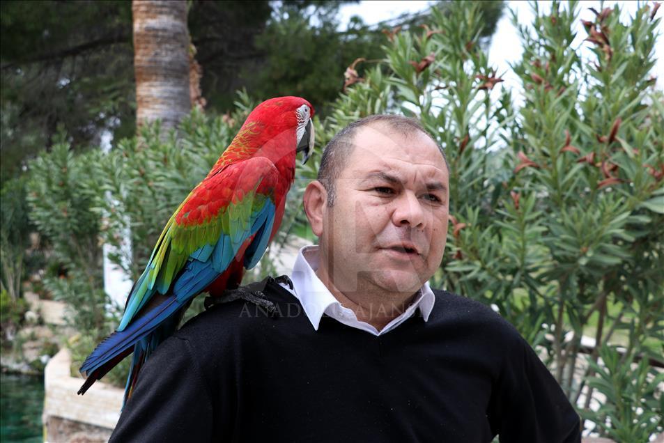 Papağan "Sultan" ile sahibinin dostluğu