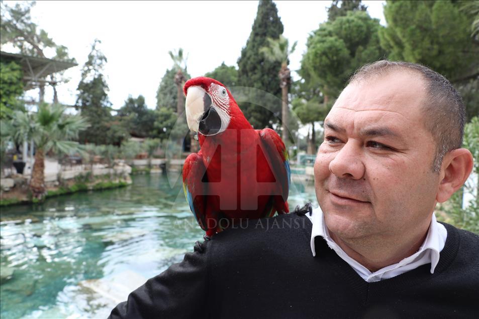 Papağan "Sultan" ile sahibinin dostluğu