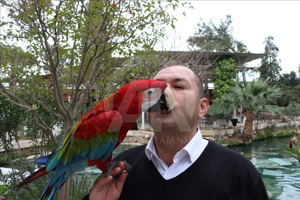 Papağan "Sultan" ile sahibinin dostluğu