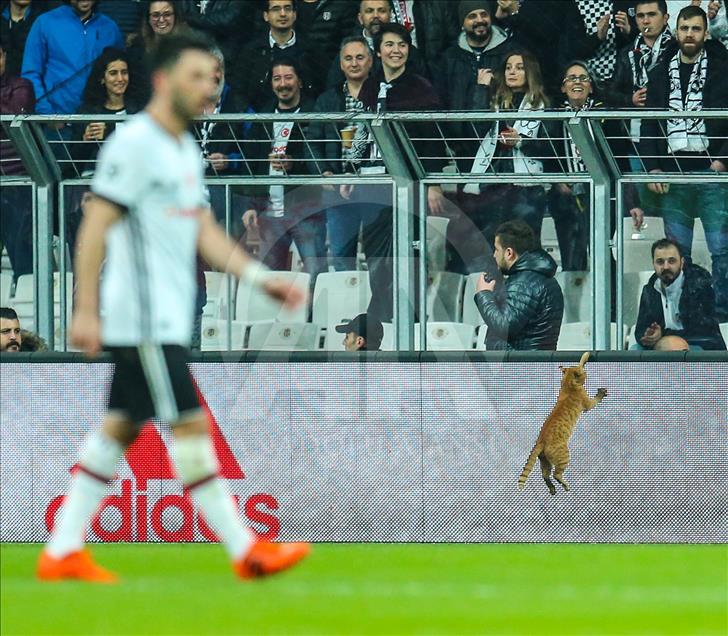 Beşiktaş - Bayern Münih