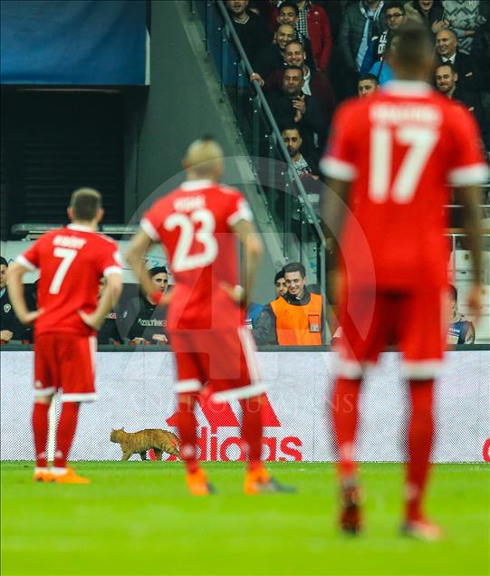 Beşiktaş - Bayern Münih