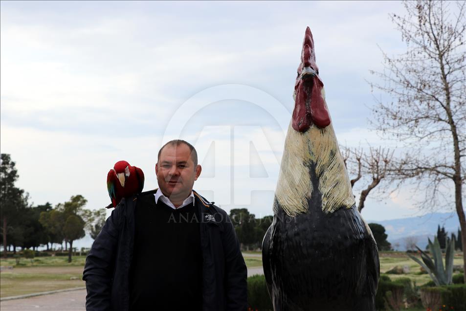 Papağan "Sultan" ile sahibinin dostluğu