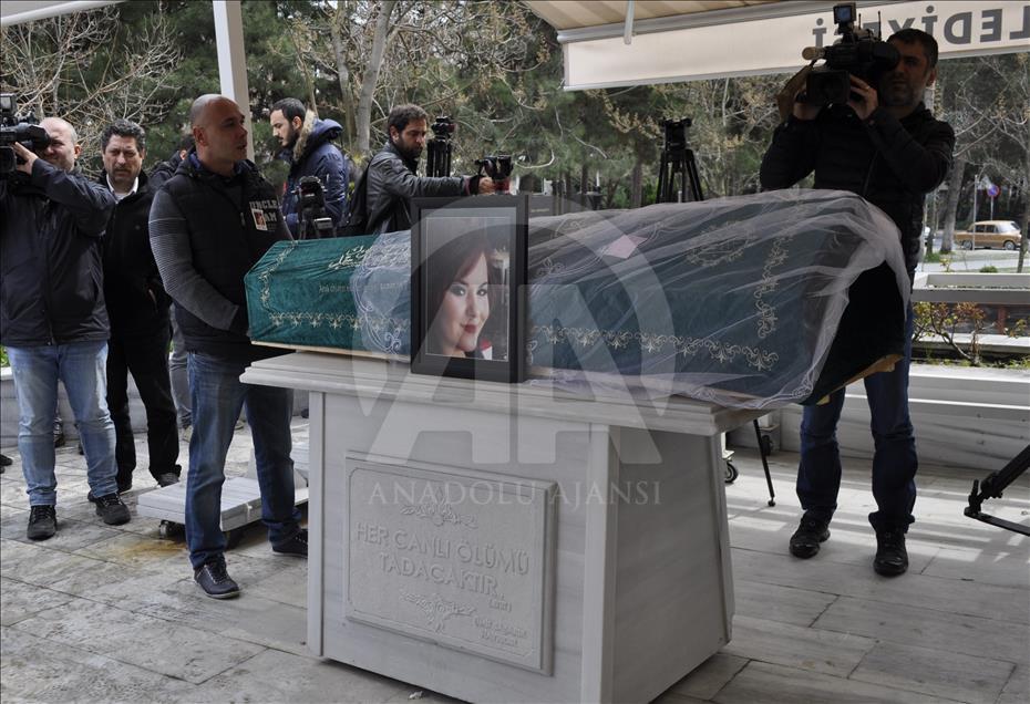 İran'da düşen özel Türk uçağı