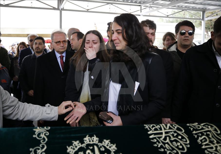 İran'da düşen özel Türk uçağı