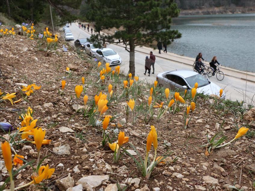 جاذبه پارک طبیعت آبانت در بولوی ترکیه
