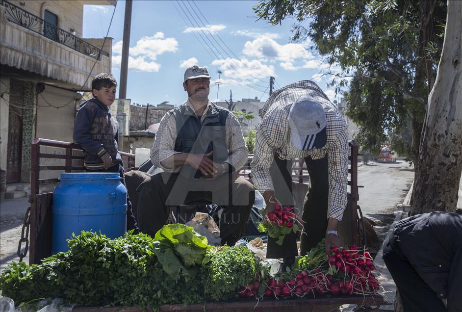 Afrin sokakları "canlanıyor"