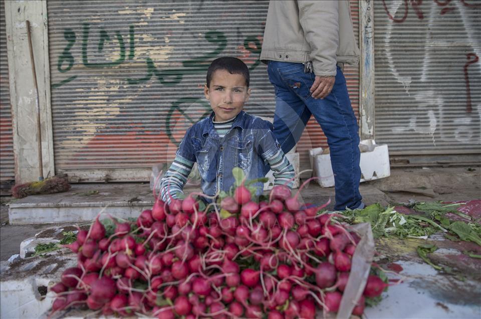 Afrin sokakları "canlanıyor"
