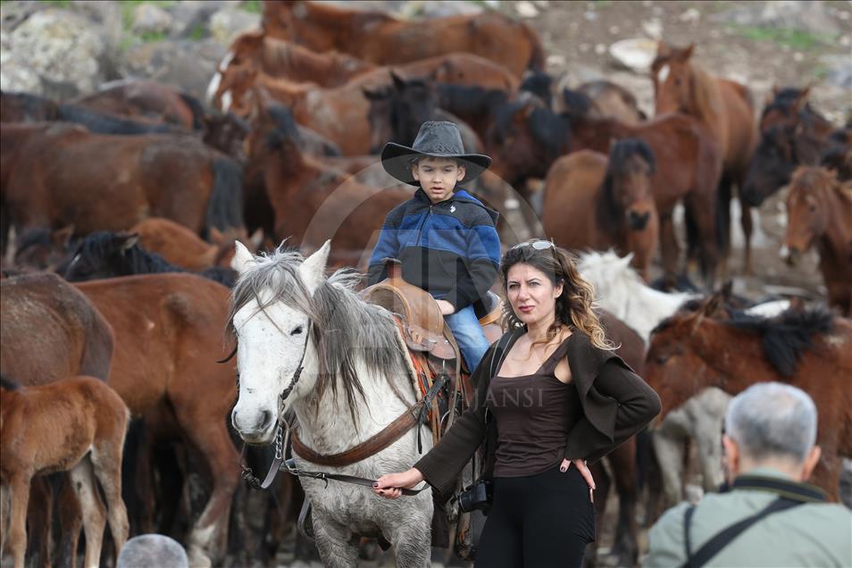 Wild horses race around Mount Erciyes