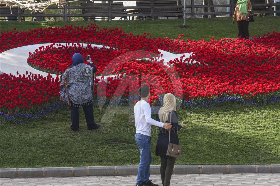 Gaziantep "çiçek açtı"