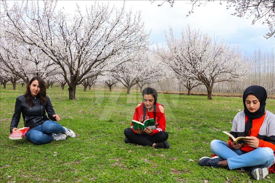 Doğada kitap okuyup teknoloji bağımlığına dikkati çekiyorlar