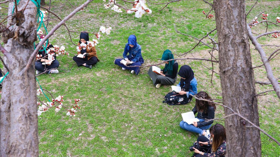 Doğada kitap okuyup teknoloji bağımlığına dikkati çekiyorlar