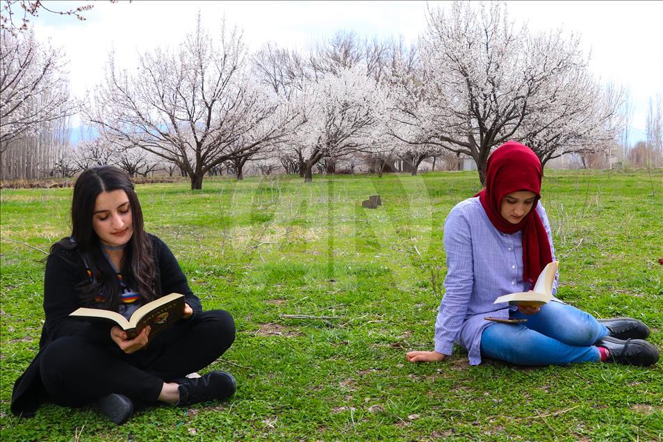 Doğada kitap okuyup teknoloji bağımlığına dikkati çekiyorlar