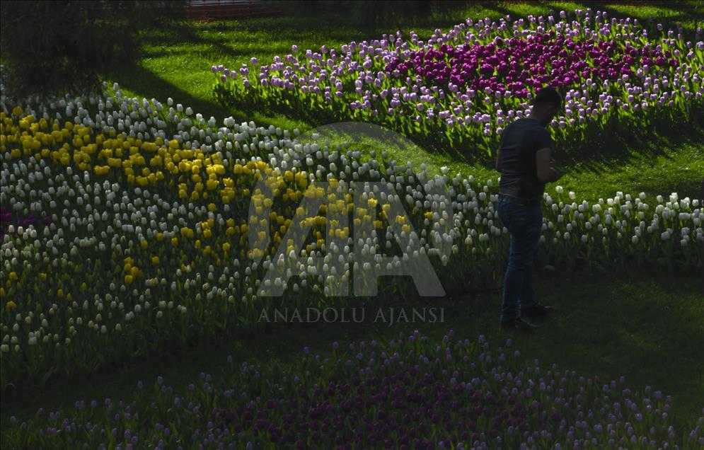 Gaziantep "çiçek açtı"