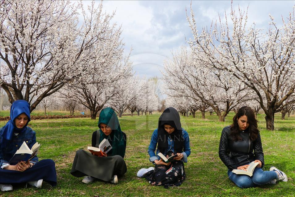 Doğada kitap okuyup teknoloji bağımlığına dikkati çekiyorlar