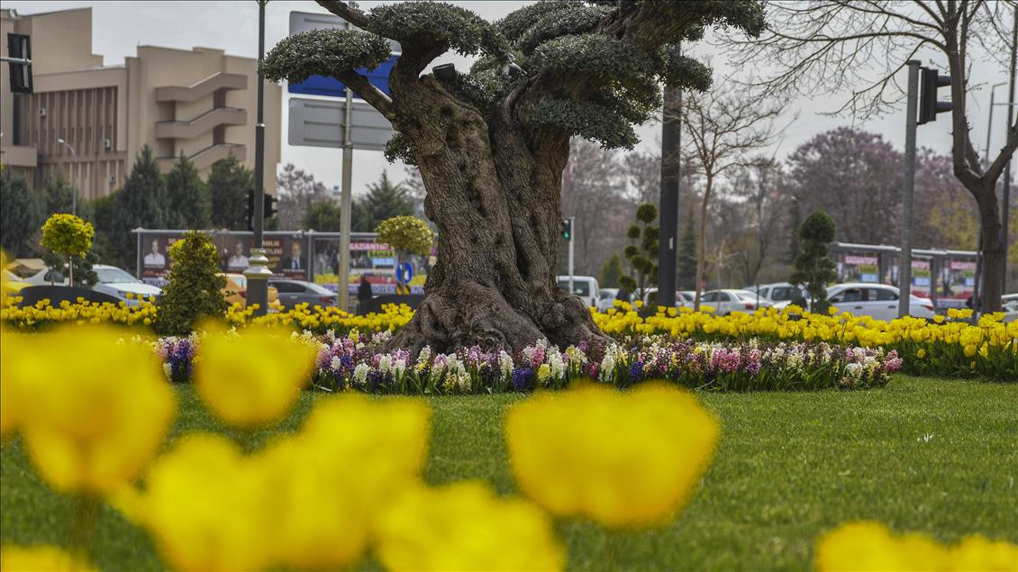 Gaziantep "çiçek açtı"