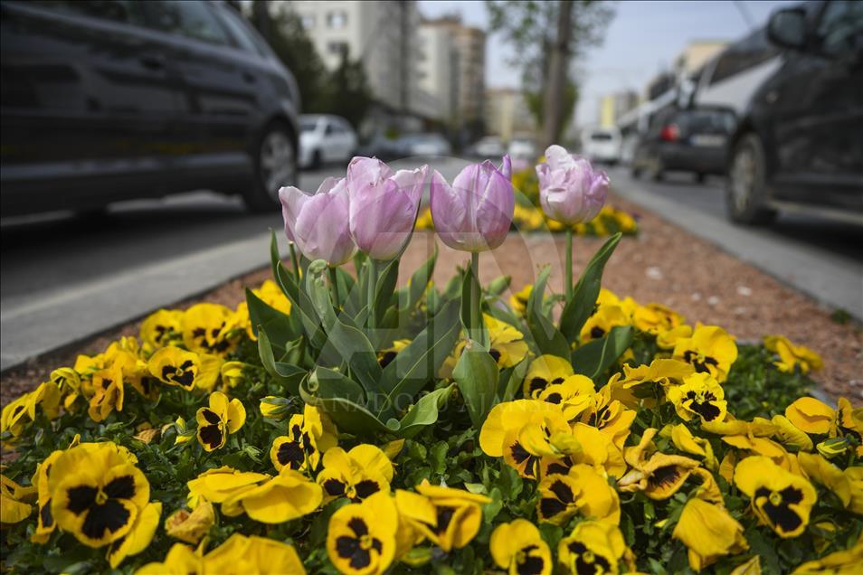 Gaziantep "çiçek açtı"