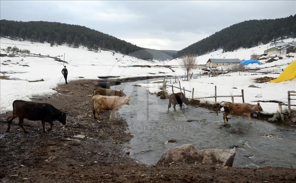 Handere baharda kışla mücadele ediyor
