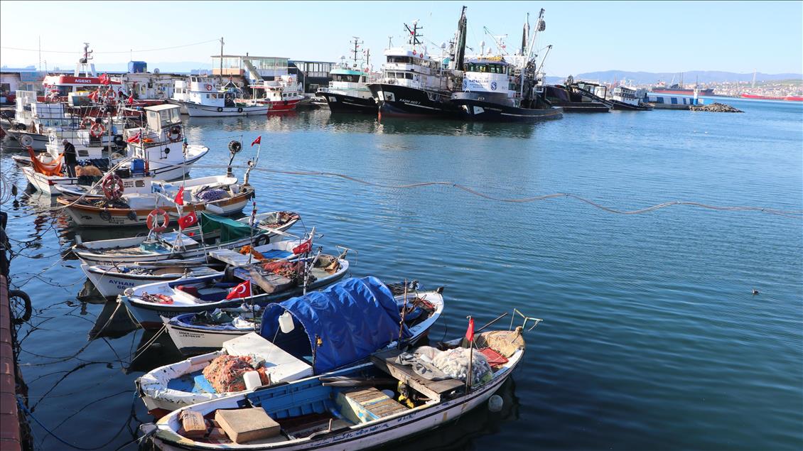 Marmara'da lodos etkisini kaybetti