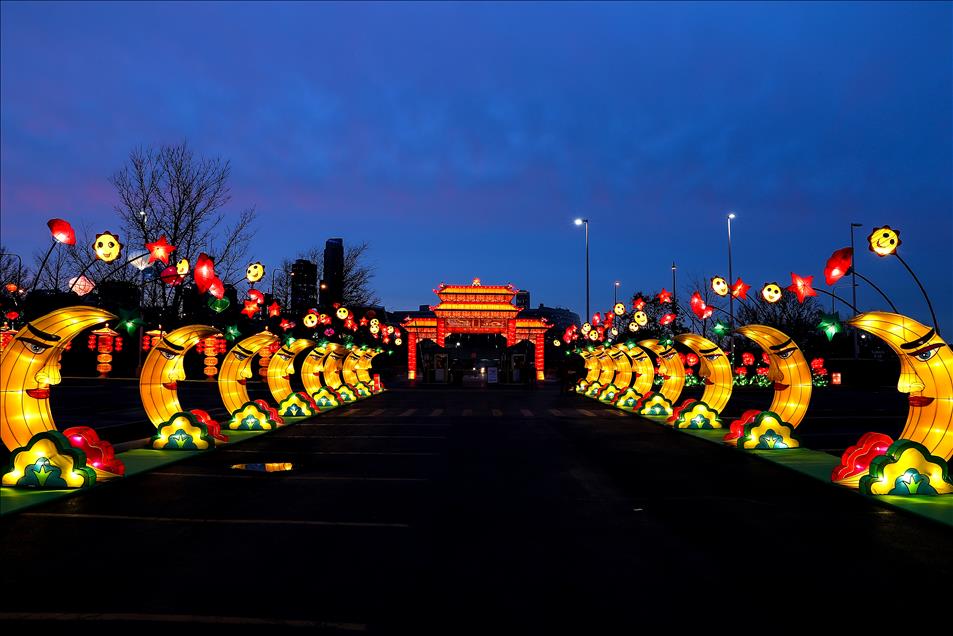 Dragon lights exhibit in Chicago Anadolu Ajansı