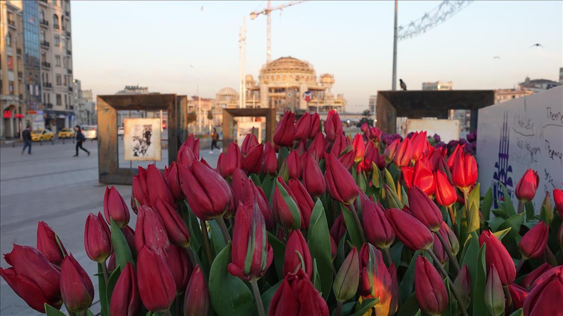 Taksim Meydanı lalelerle süslendi