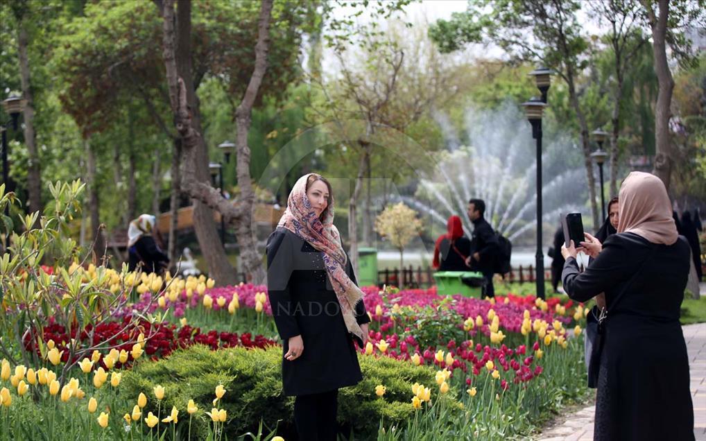 Comenzó el Sexto Festival de Tulipanes en Irán
