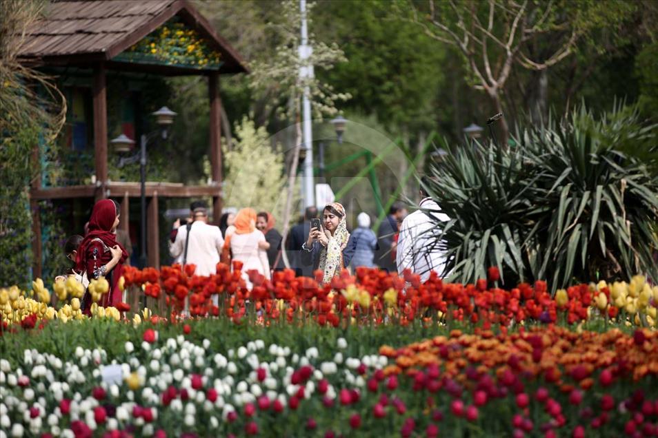Comenzó el Sexto Festival de Tulipanes en Irán