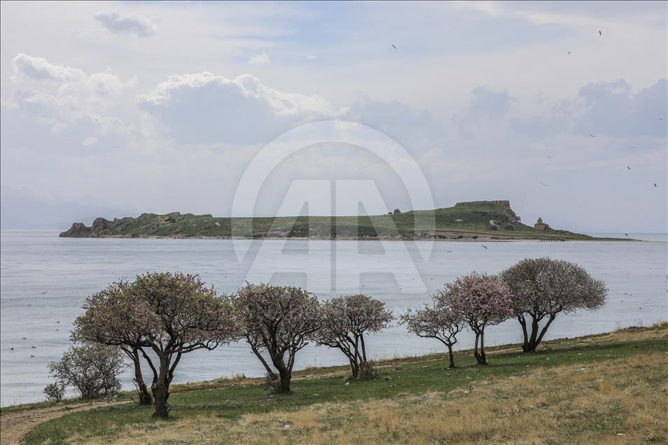 Van Gölü'nün el değmemiş güzelliği "Çarpanak Adası"