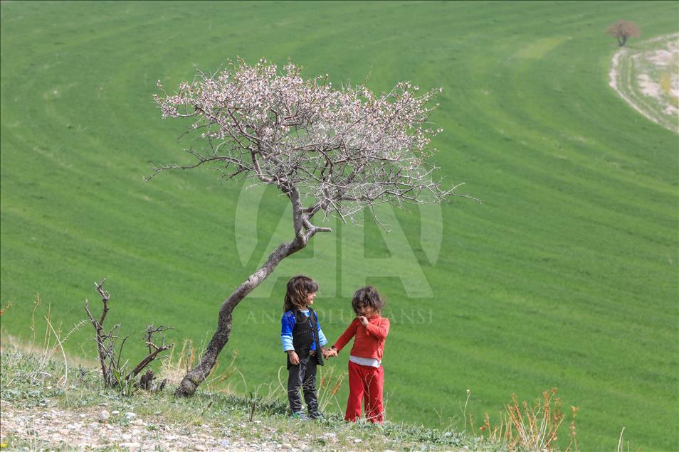 Van Gölü'nün el değmemiş güzelliği "Çarpanak Adası"