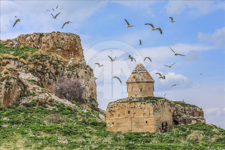 Van Gölü'nün el değmemiş güzelliği "Çarpanak Adası"