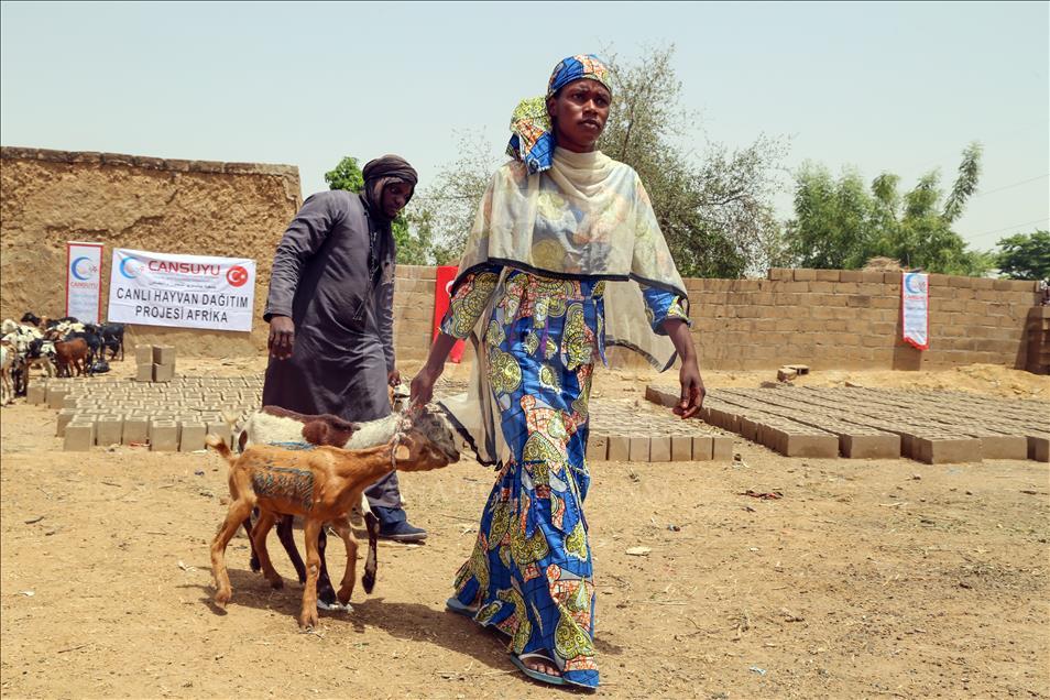 Cansuyu'ndan Afrikalılara "canlı hayvan" desteği