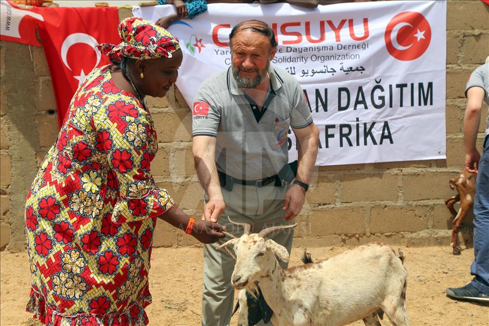 Cansuyu'ndan Afrikalılara "canlı hayvan" desteği