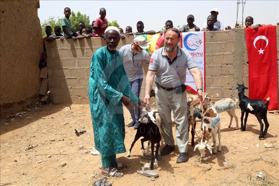 Cansuyu'ndan Afrikalılara "canlı hayvan" desteği