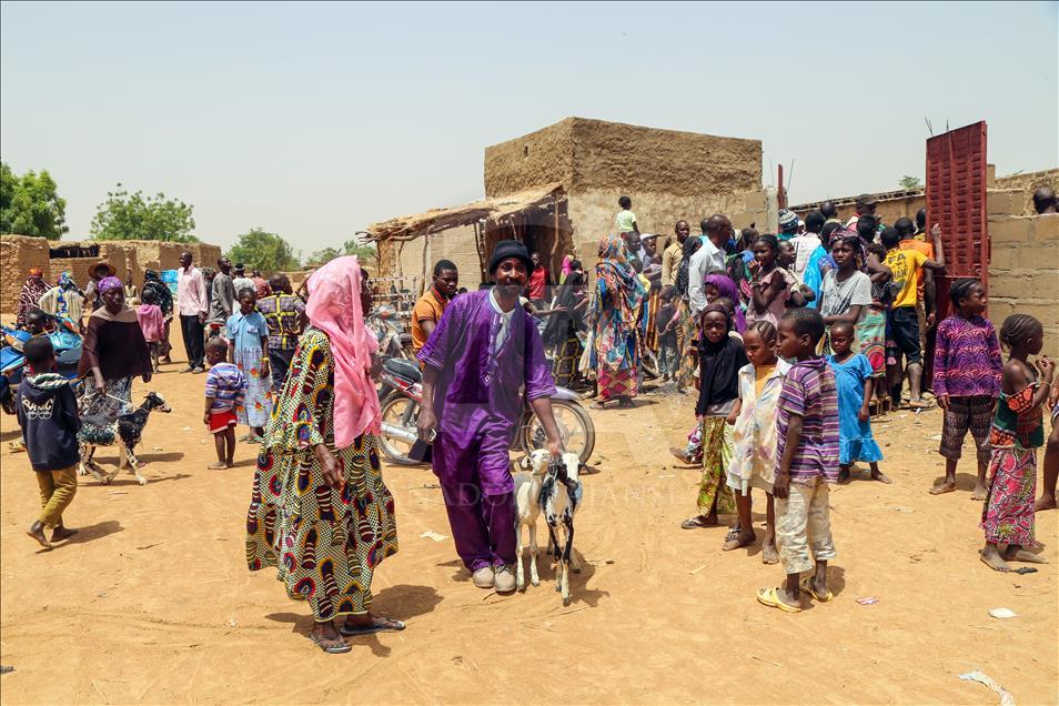 Cansuyu'ndan Afrikalılara "canlı hayvan" desteği