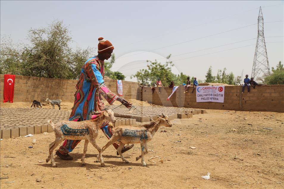 Cansuyu'ndan Afrikalılara "canlı hayvan" desteği
