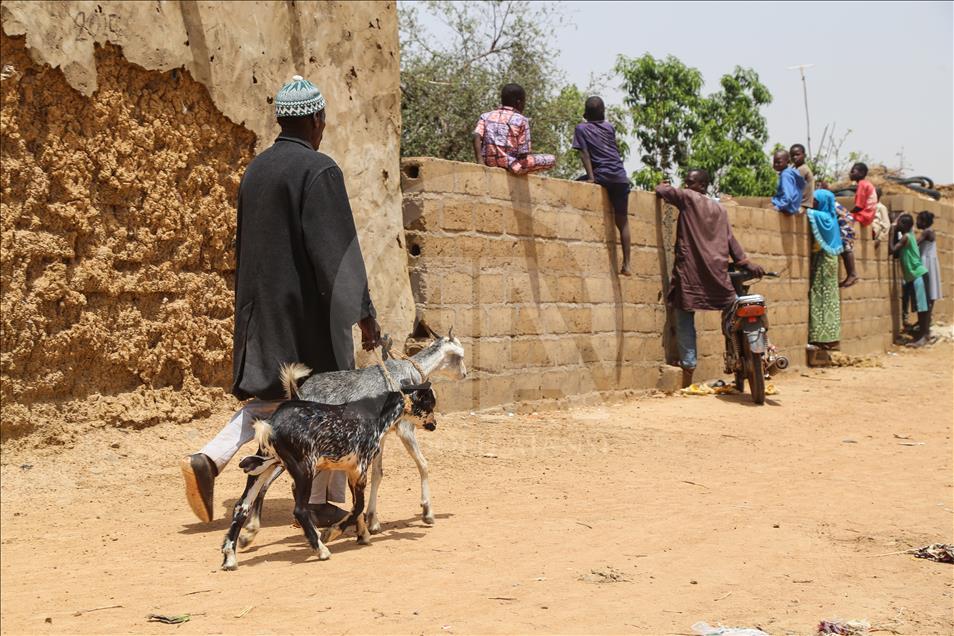 Cansuyu'ndan Afrikalılara "canlı hayvan" desteği