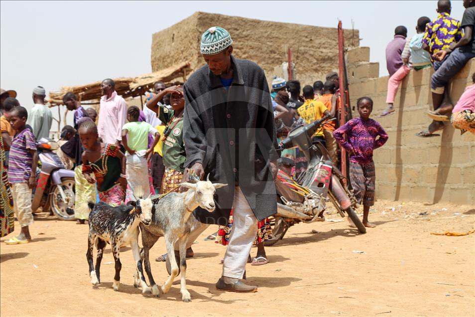 Cansuyu'ndan Afrikalılara "canlı hayvan" desteği