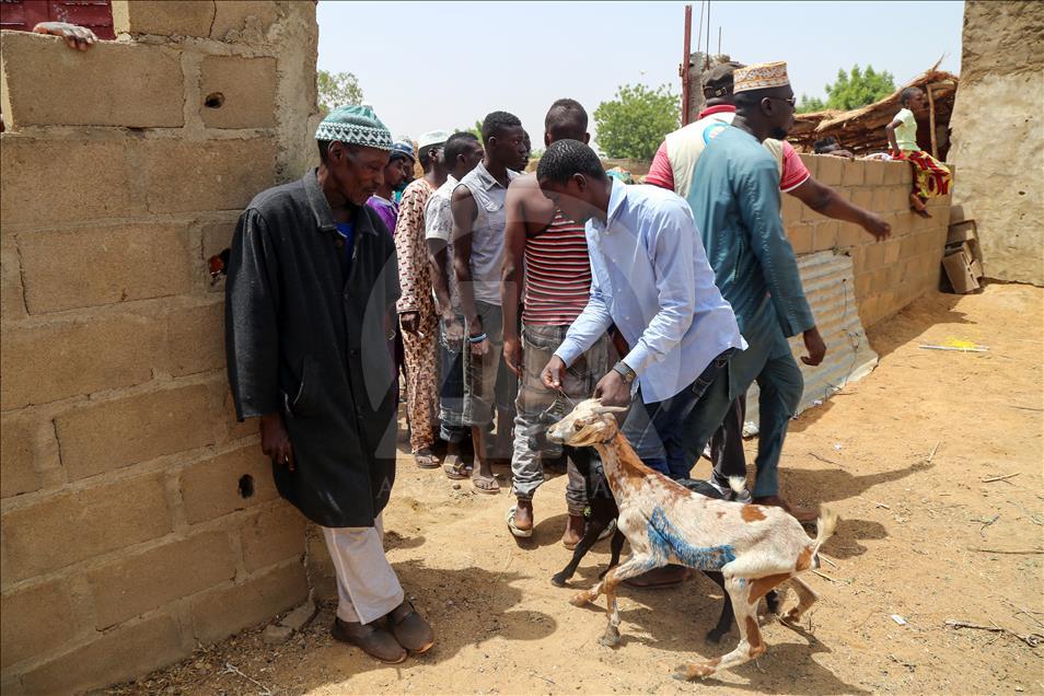Cansuyu'ndan Afrikalılara "canlı hayvan" desteği