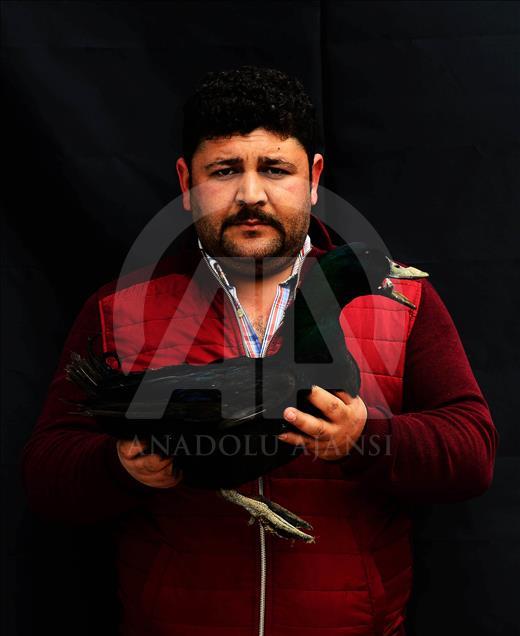 Uşak'ta süs tavuğu yetiştiricileri 
