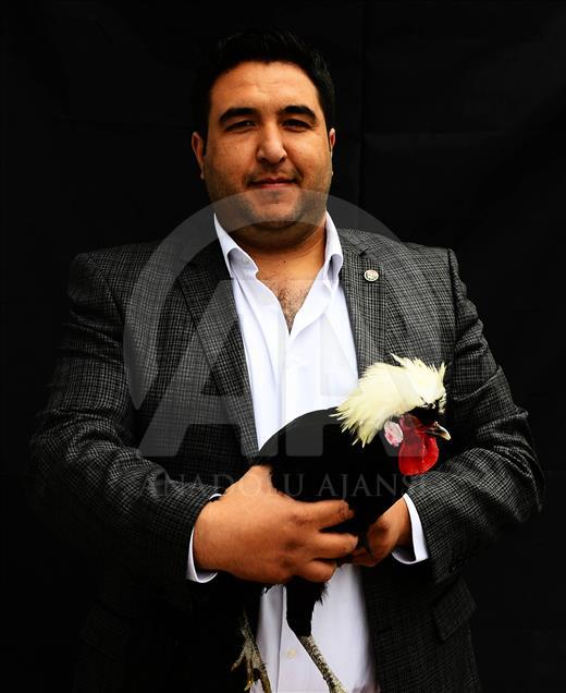 Uşak'ta süs tavuğu yetiştiricileri 