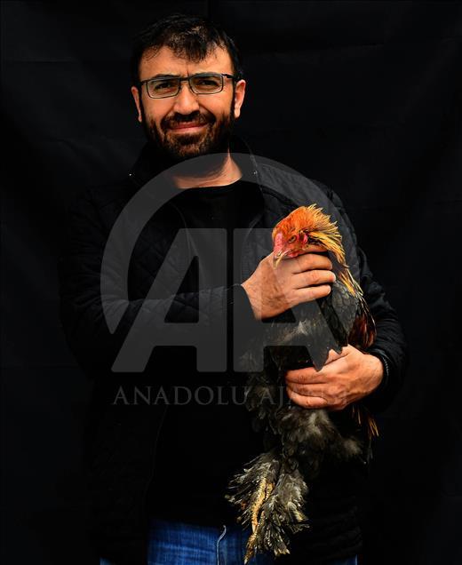 Uşak'ta süs tavuğu yetiştiricileri 
