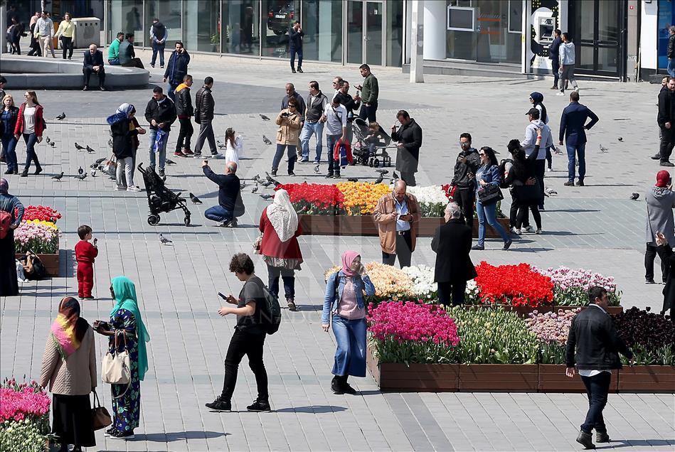 Tulip Festival in Istanbul