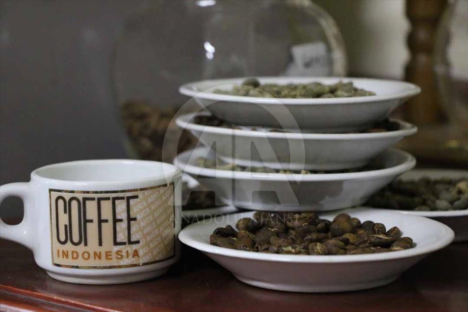 "El café de calidad de Indonesia crece en áreas volcánicas"